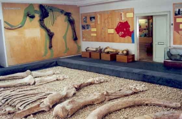 Muzeul Tarii Crisurilor poza